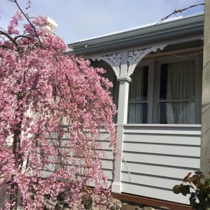 Custom Corner Brackets